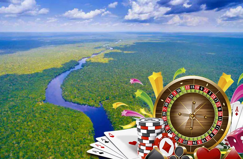 Pan Amazon Aviator Lo stato del gioco dazzardo nella regione amazzonica