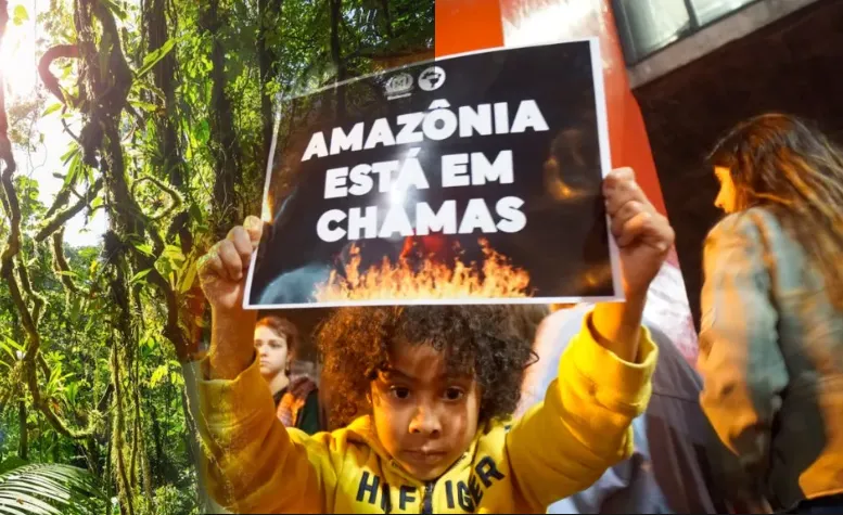 Pan Amazon Aviator del Sinodo sulla Politica del Gioco dAzzardo