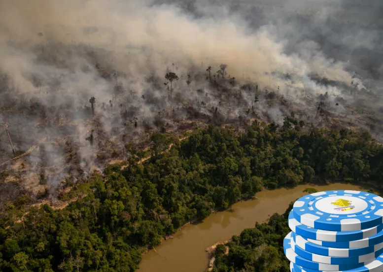 Pan Amazon LIntersezione tra Gioco dAzzardo e Questioni Ambientali nellAmazzonia
